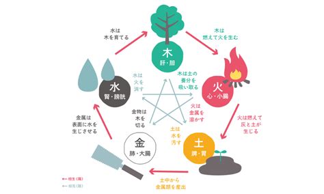 太陽五行|陰陽五行説｜基礎知識から法則、具体例についてわか 